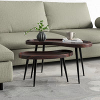 Nesting Coffee Table set of 2