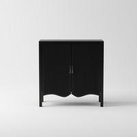 2 Door Wooden Storage Cabinet