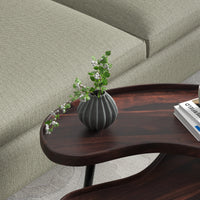 Nesting Coffee Table set of 2