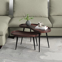 Nesting Coffee Table set of 2