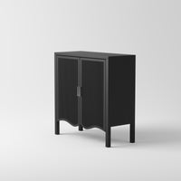 2 Door Wooden Storage Cabinet
