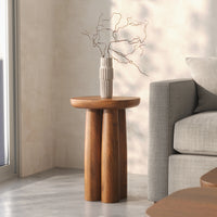 Wooden End Table for Living Room with Sheesham Wood Design